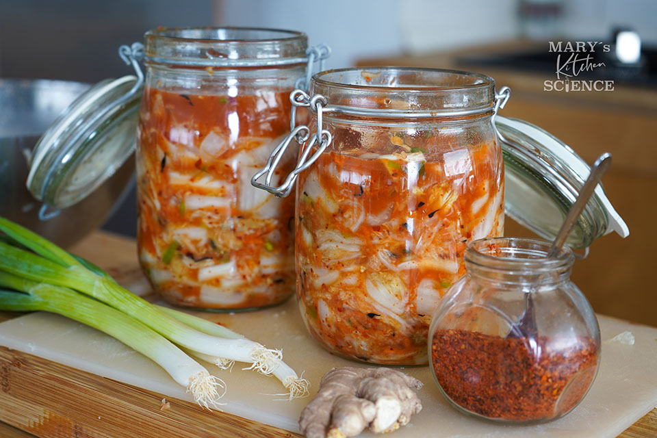 Kimchi fermentieren lernen mit Marys Kitchen Science Workshop Köln Fermentieren Kurs